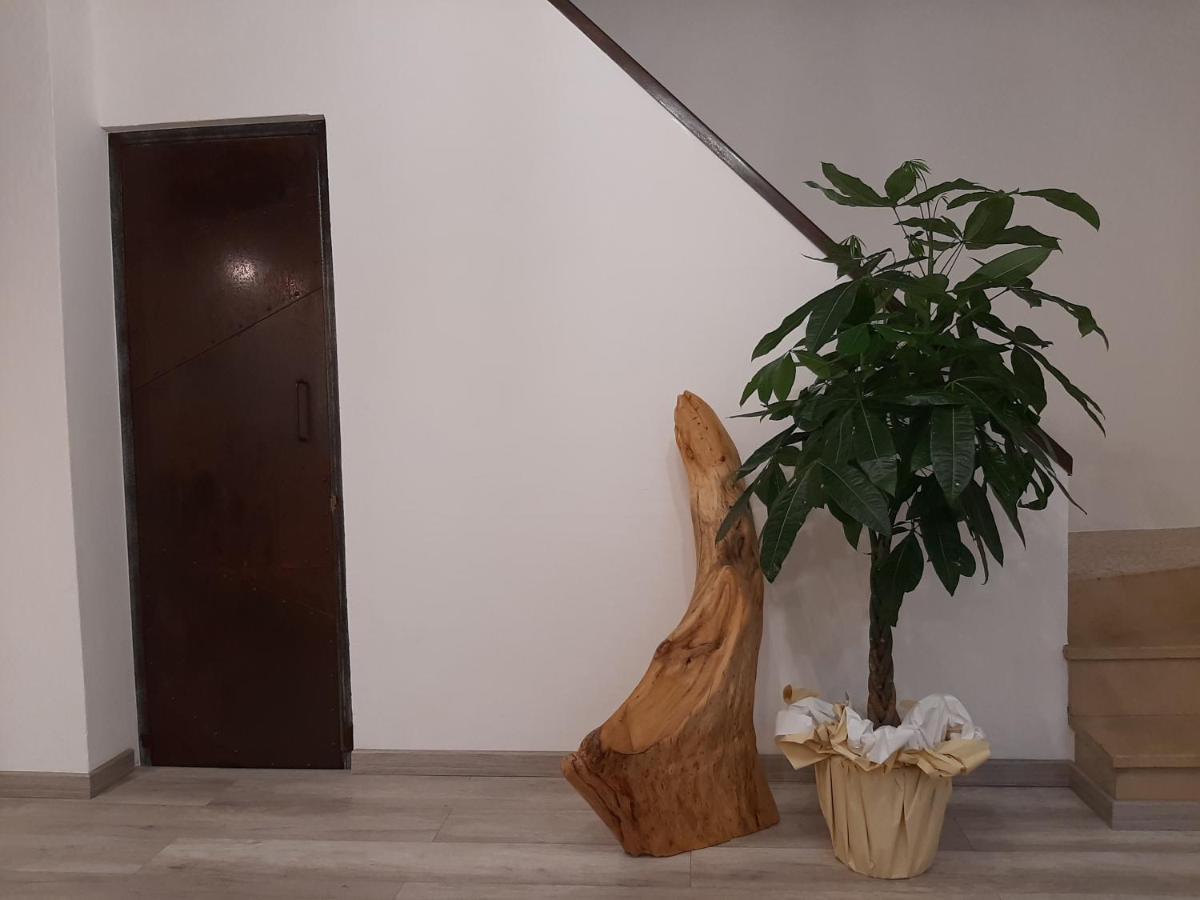 B&B Da Baba Ghizzano Экстерьер фото